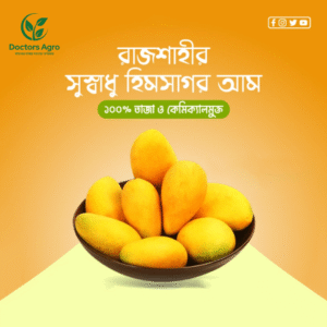 সুস্বাদু হিমসাগর আম